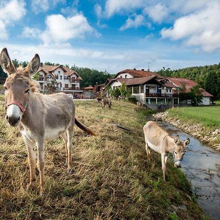 Ekoturizem Hudicevec Hotel Postojna Buitenkant foto